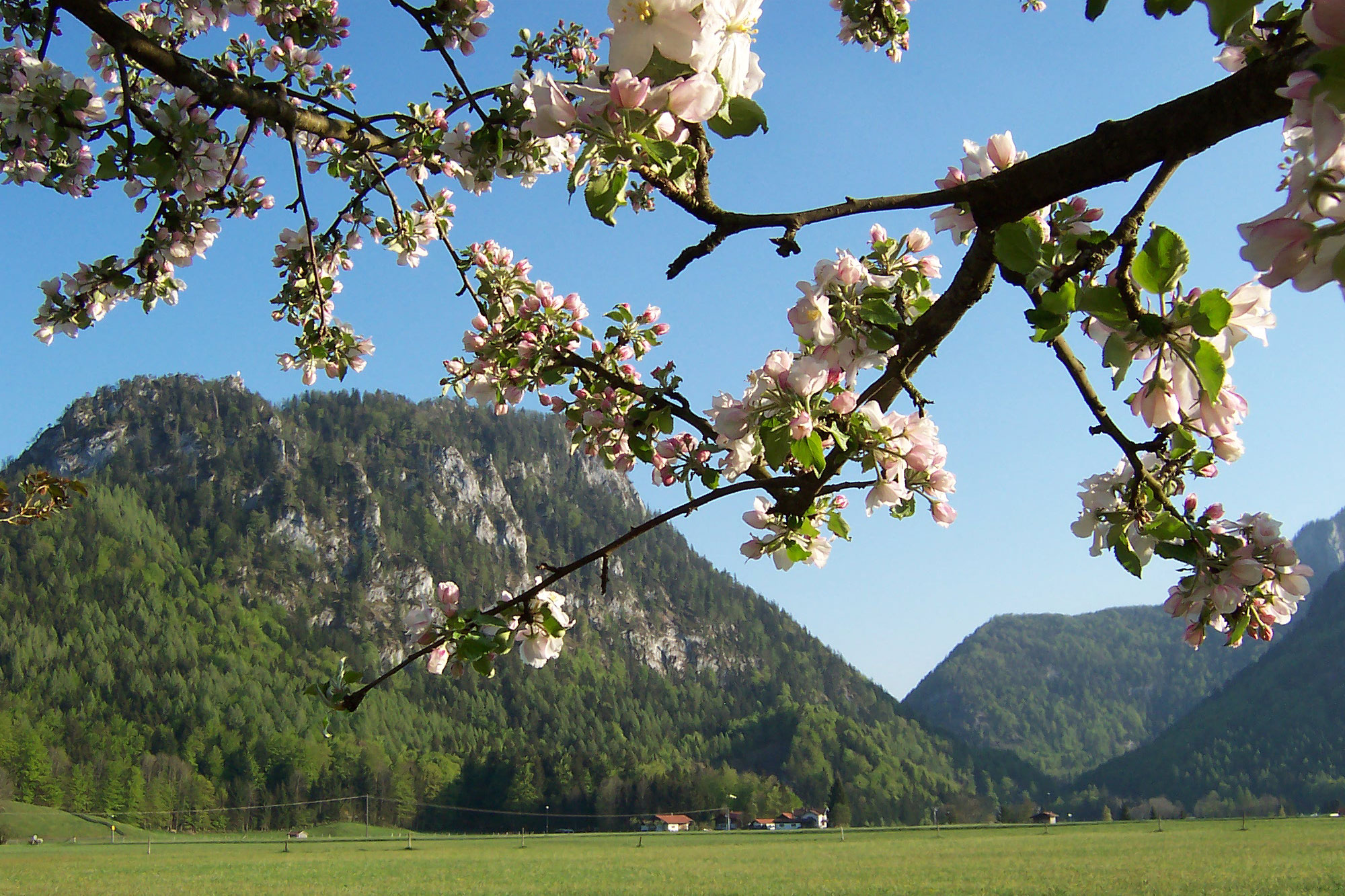 Haus Egger in Inzell